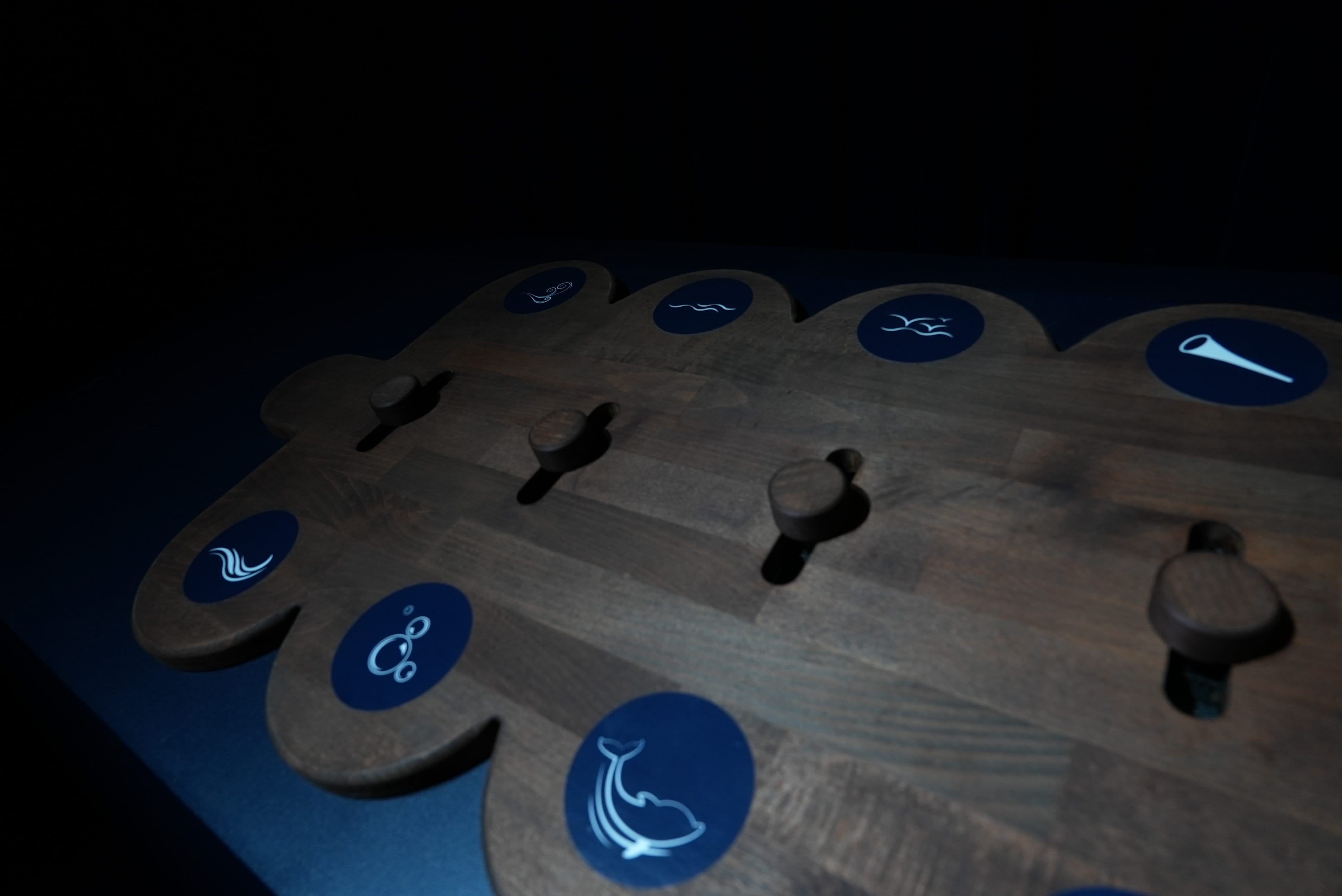 Photo of interactive soundscape slider at the Symphonies of the Ocean section of the exhibition