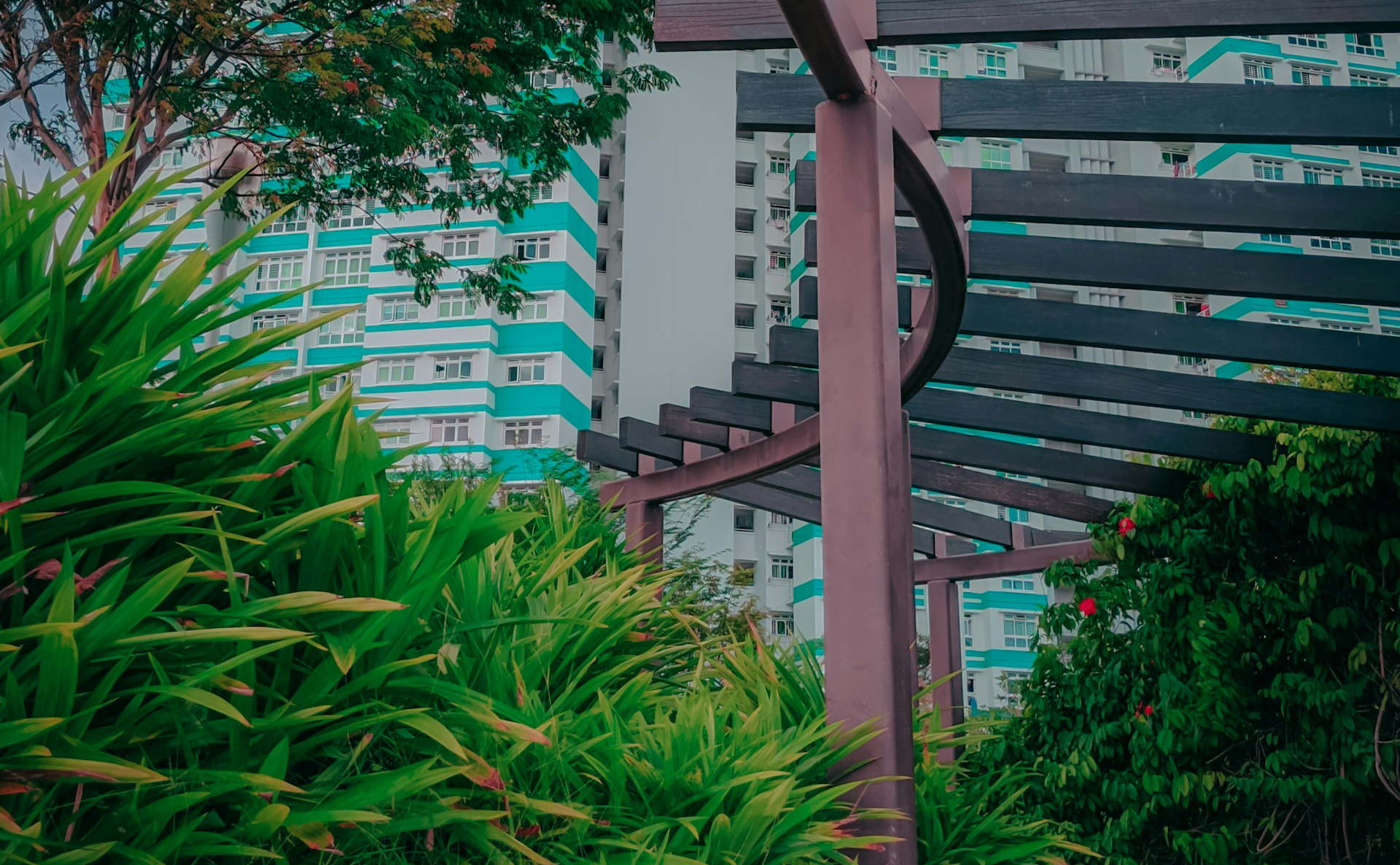 A wooden pergola structure surrounded by green plants with a tall white and teal striped apartment block behind.