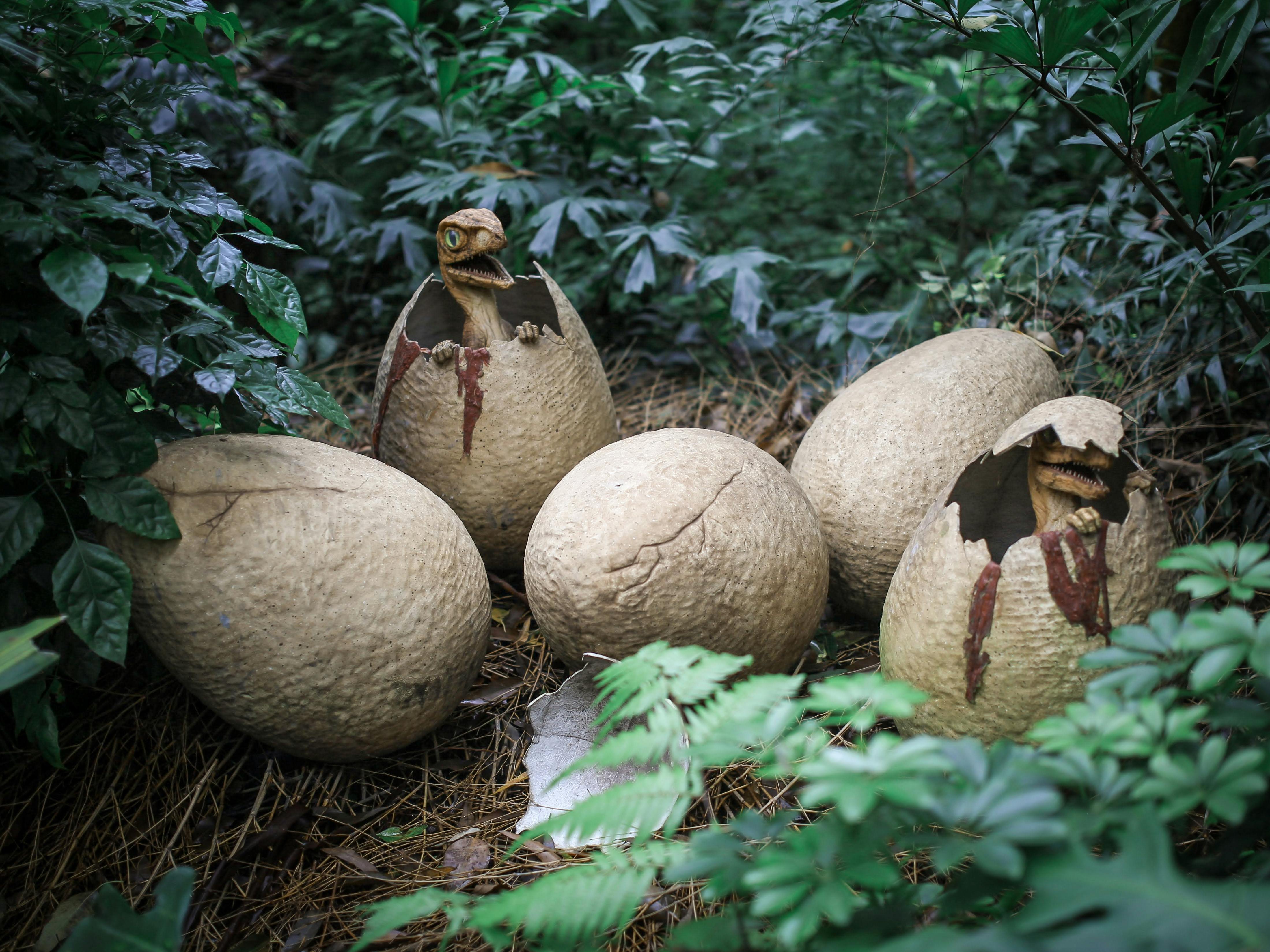 Four large dinosaur egg models in a forest nest, two cracked open with baby dinosaur figures hatching out.
