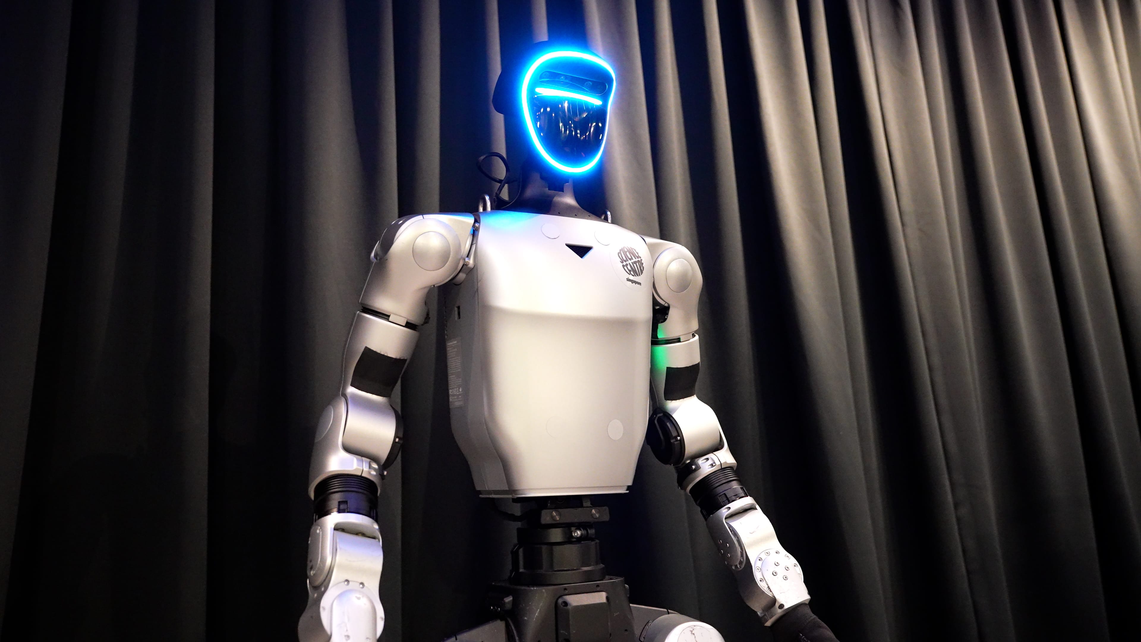 Humanoid robot