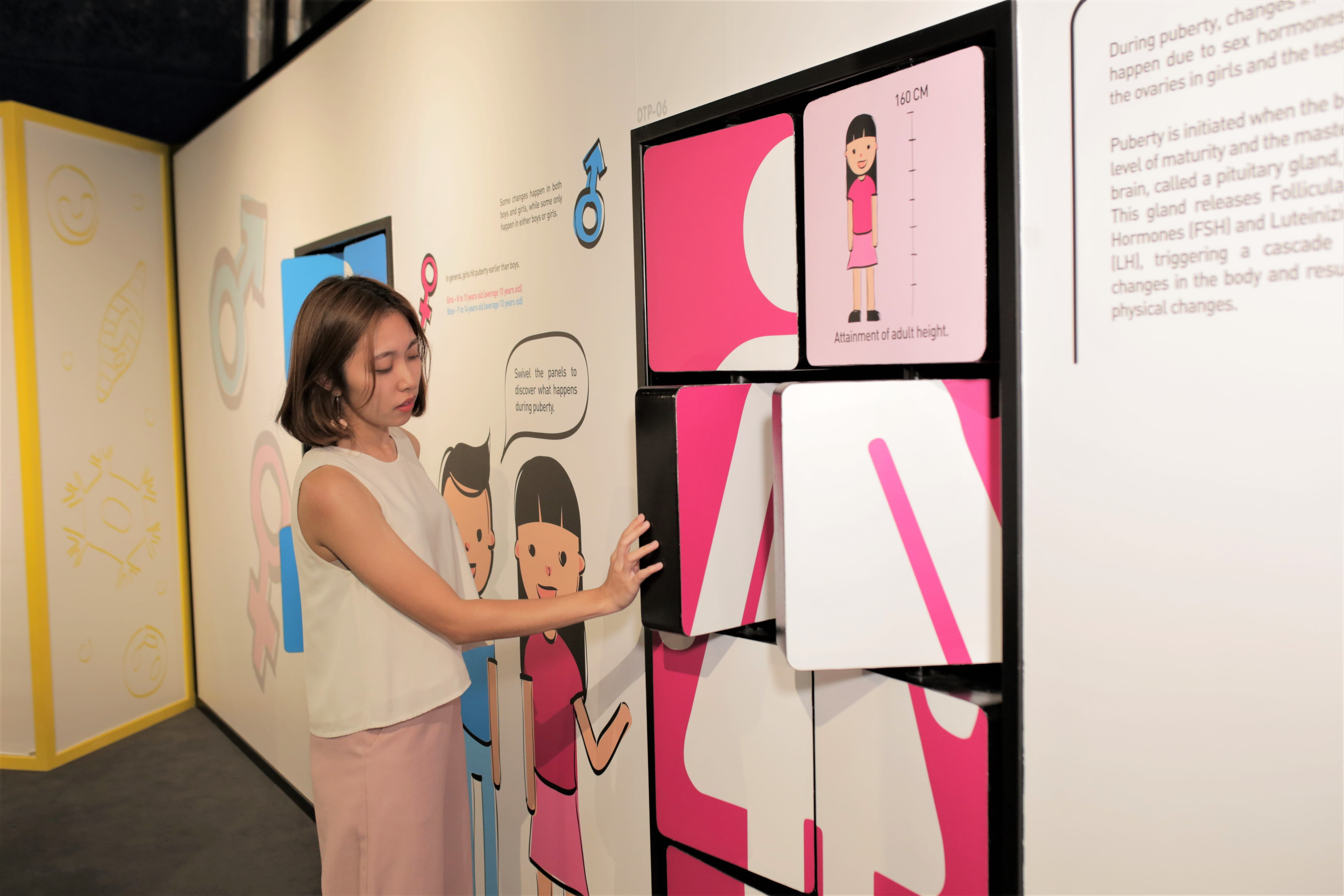 A woman interacts with a swivel panel exhibit about puberty, showing cartoon figures and height growth information.