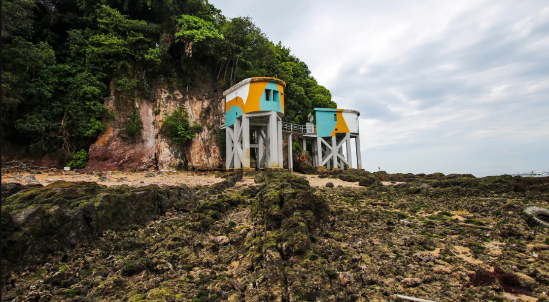 Two colorful yellow and teal cylindrical structures on stilts sit against a rocky cliff by a mossy shoreline.