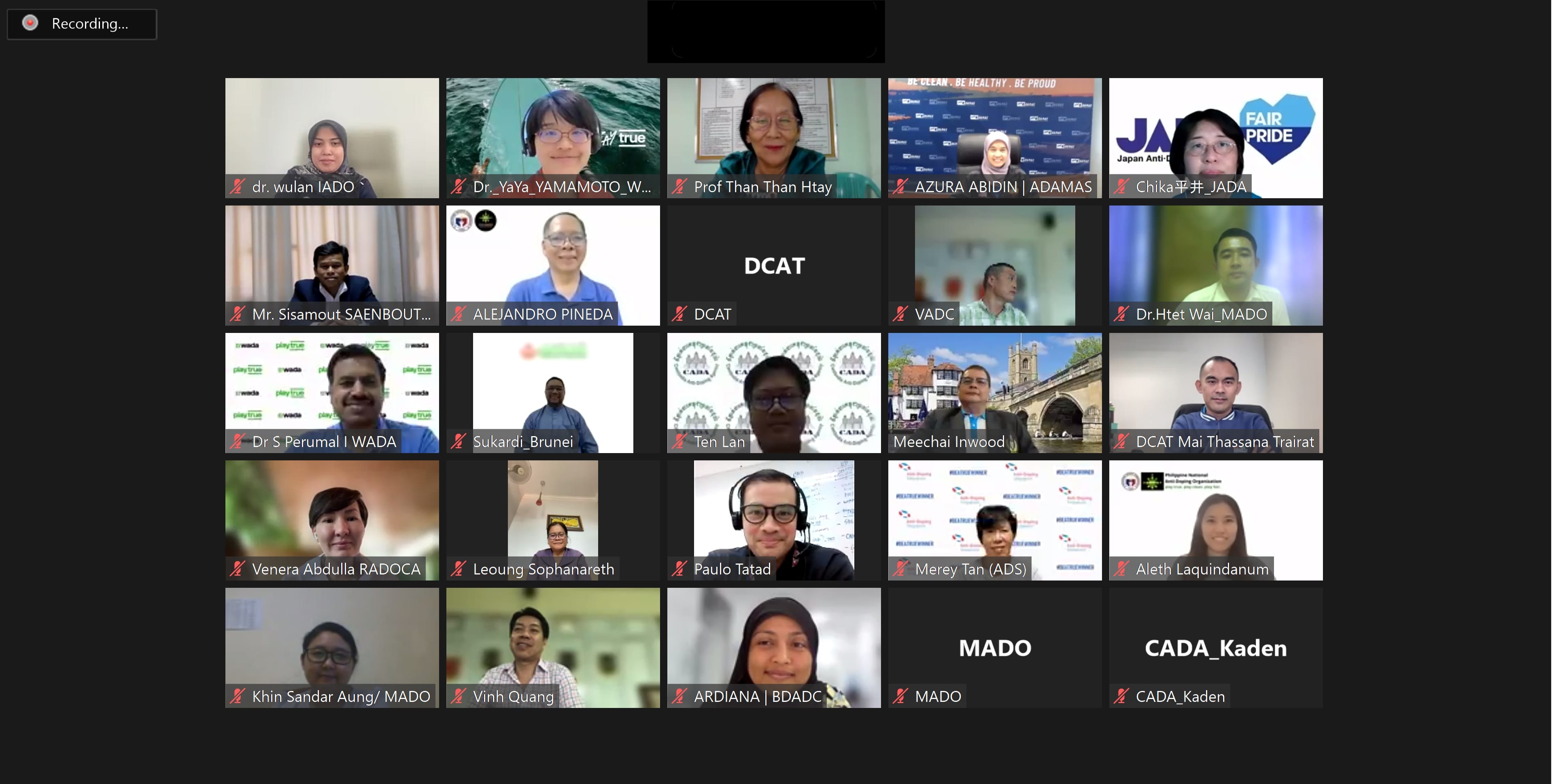 Video call grid showing 25 participants, many muted, some cameras off with name tiles like DCAT and MADO.