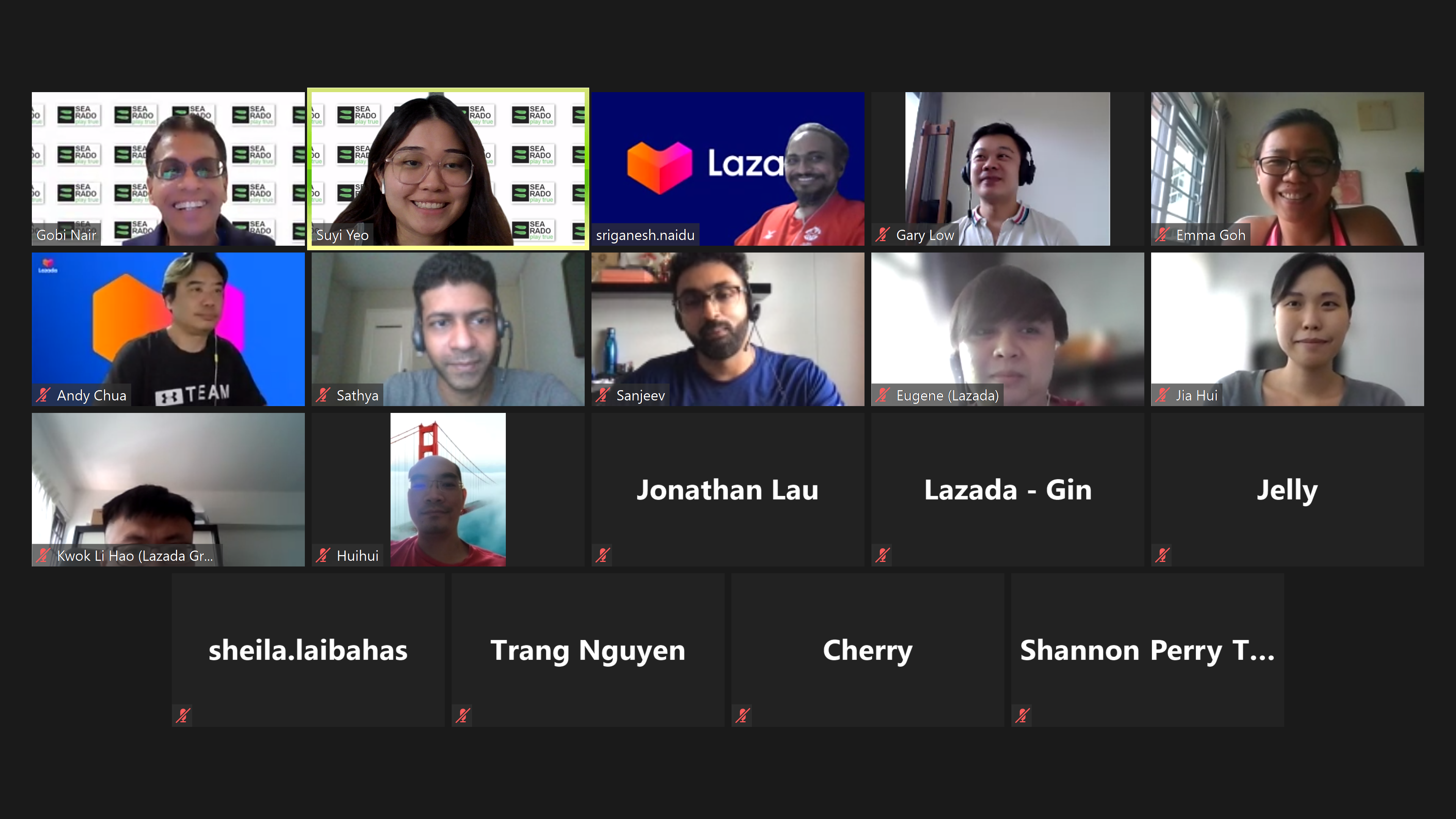 Video call grid with 14 participants; some cameras on, others show names, several muted icons visible.
