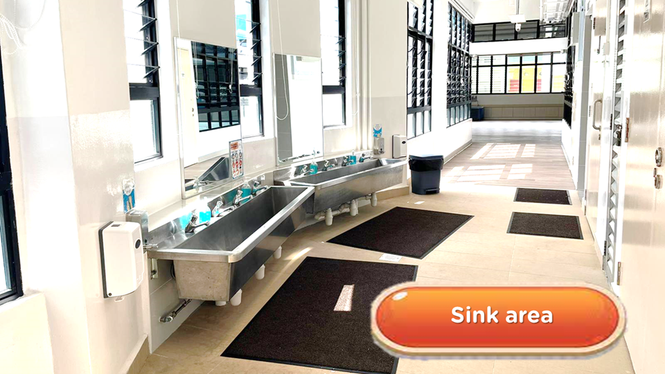 Sink Area