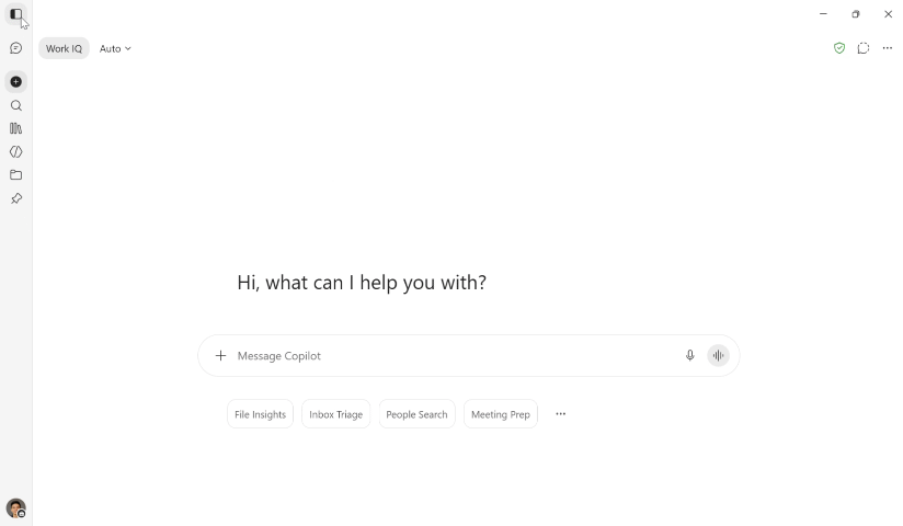 Copilot enterprise interface