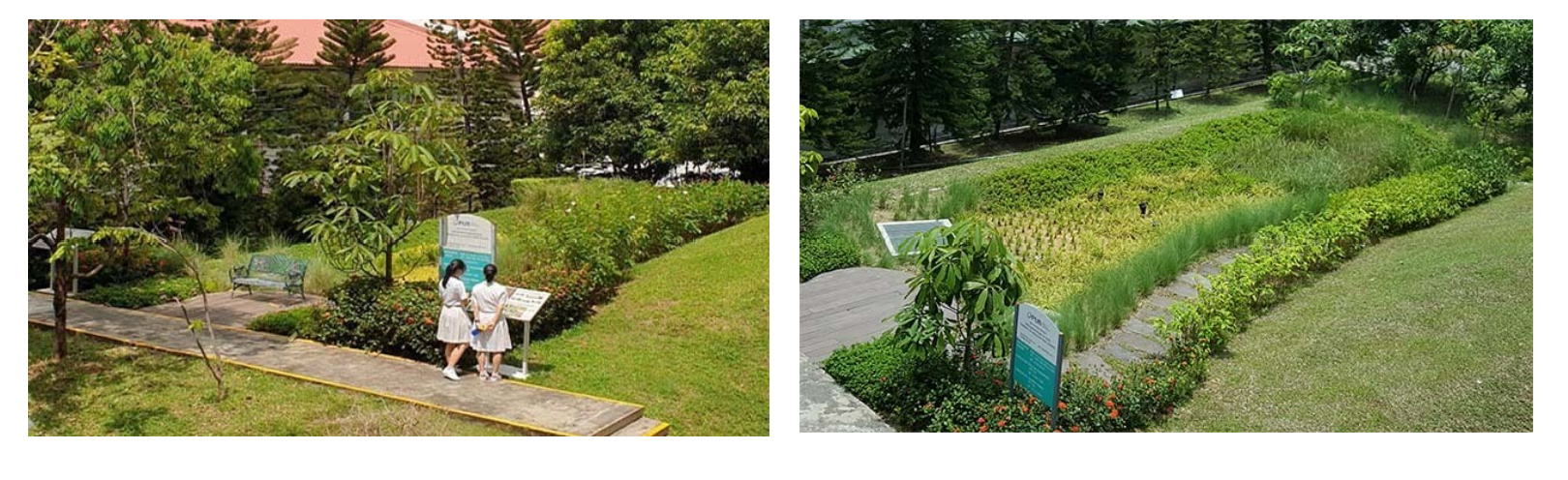 Two outdoor garden views with lush greenery; left shows two people reading an informational sign on a path.