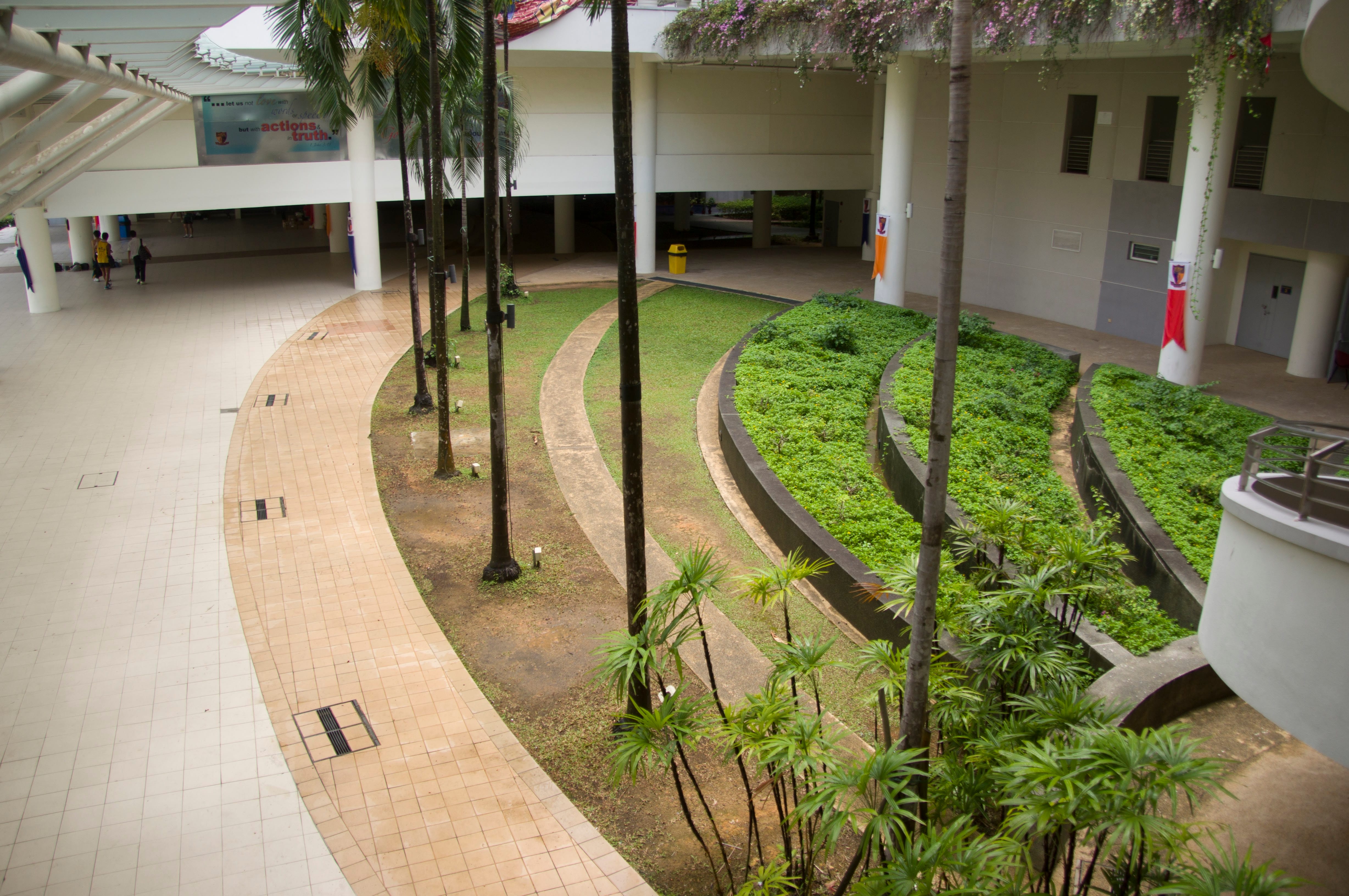 Aerial view of an indoor courtyard with curved brick path, tiered green garden beds, and tall palm trees.