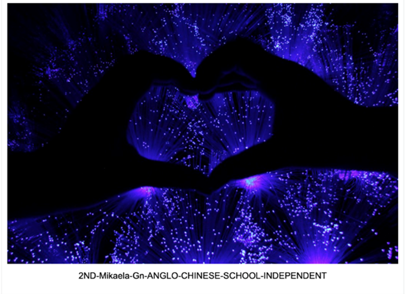 Two silhouetted hands forming a heart shape against a glowing blue and purple fiber optic light background.