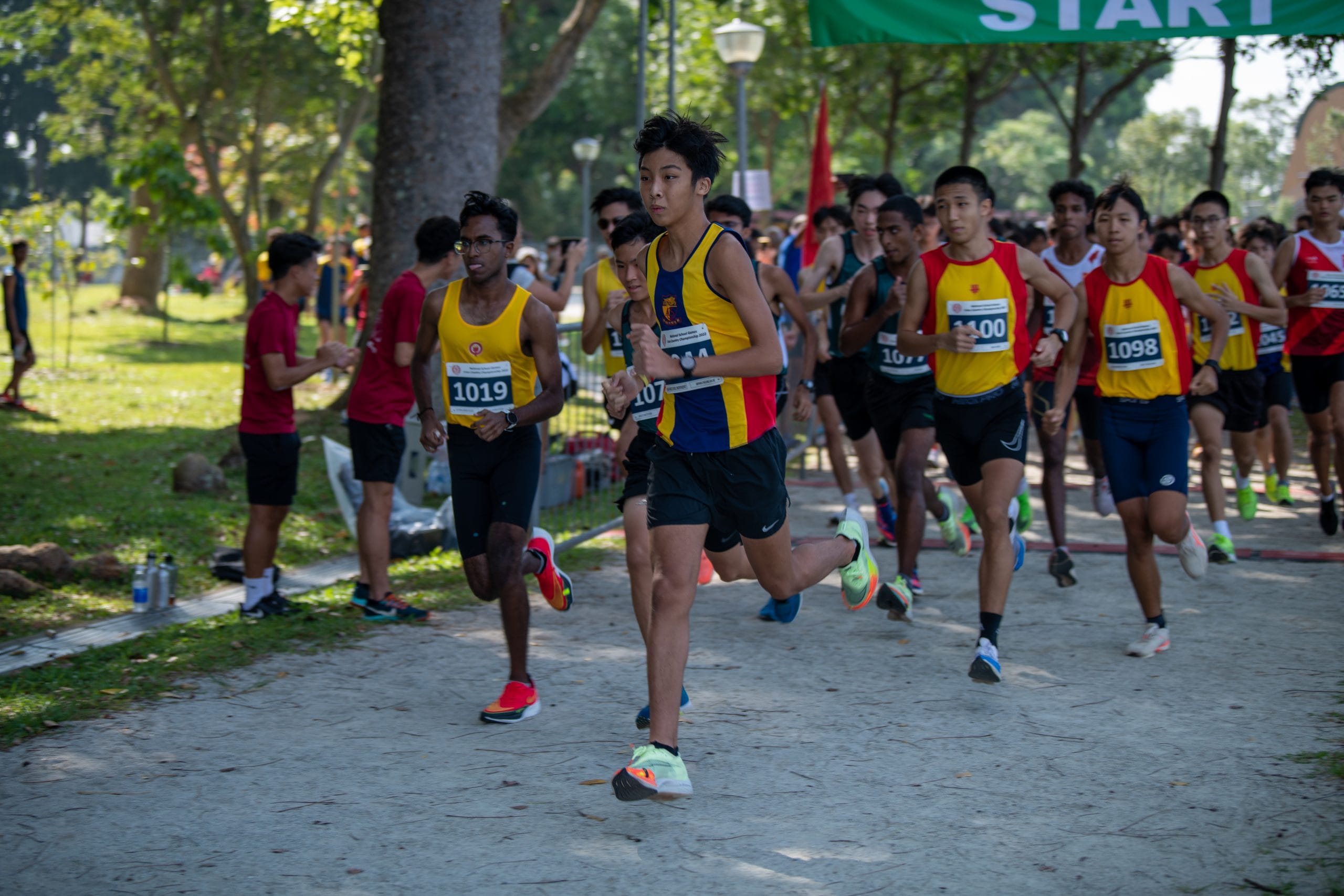 A large group of young male runners wearing numbered bibs race from a green START banner in a park.