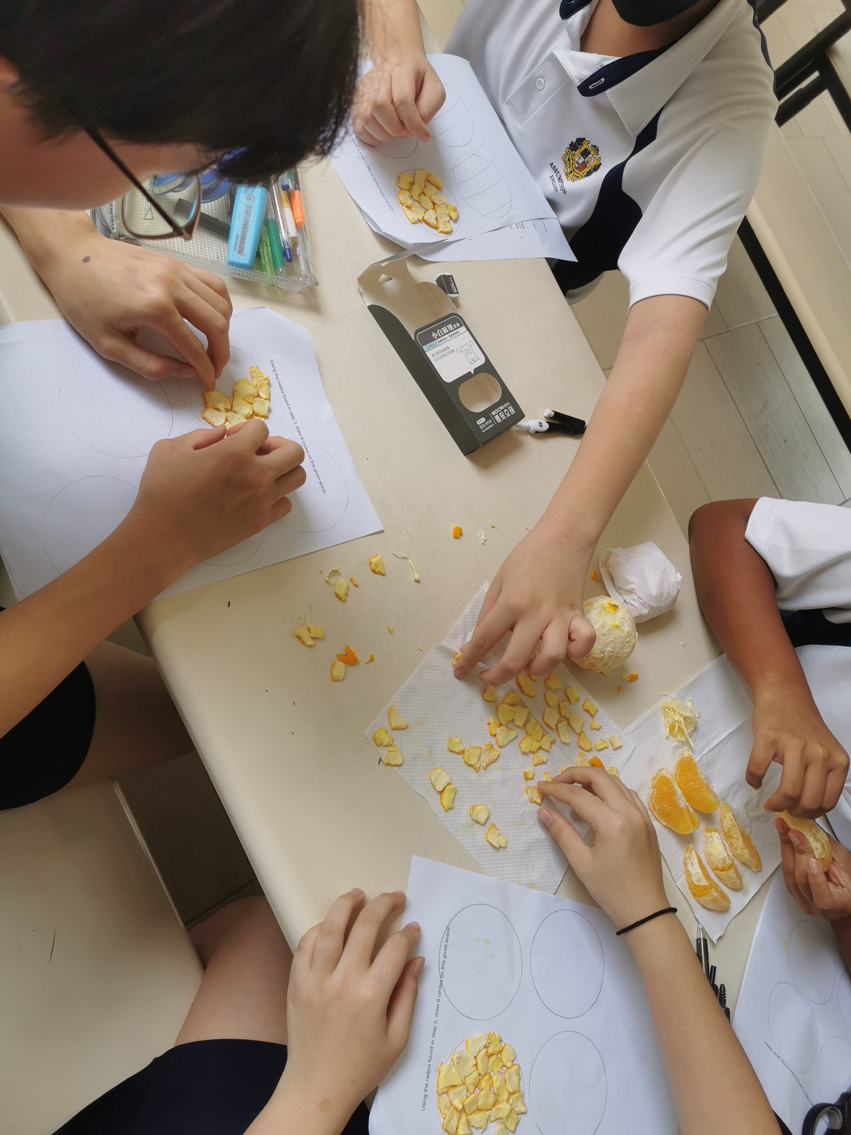 Several students in uniforms peel and examine orange segments on worksheets at a classroom table.