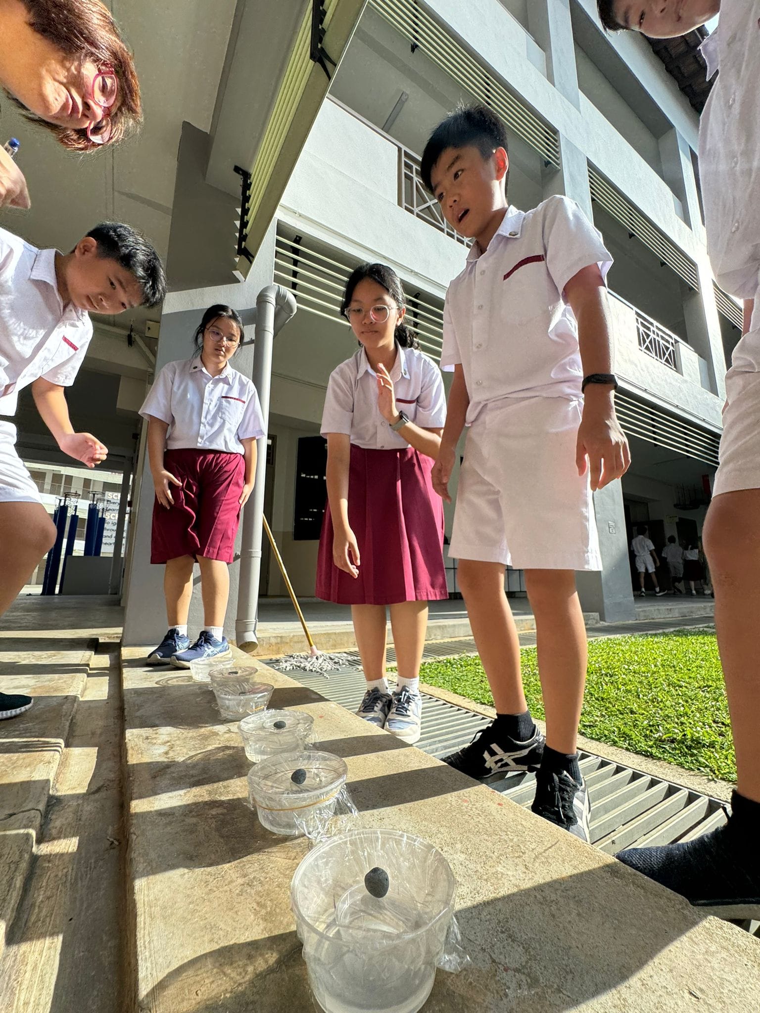 Students in white and maroon uniforms gather outdoors around clear plastic containers with small objects inside.