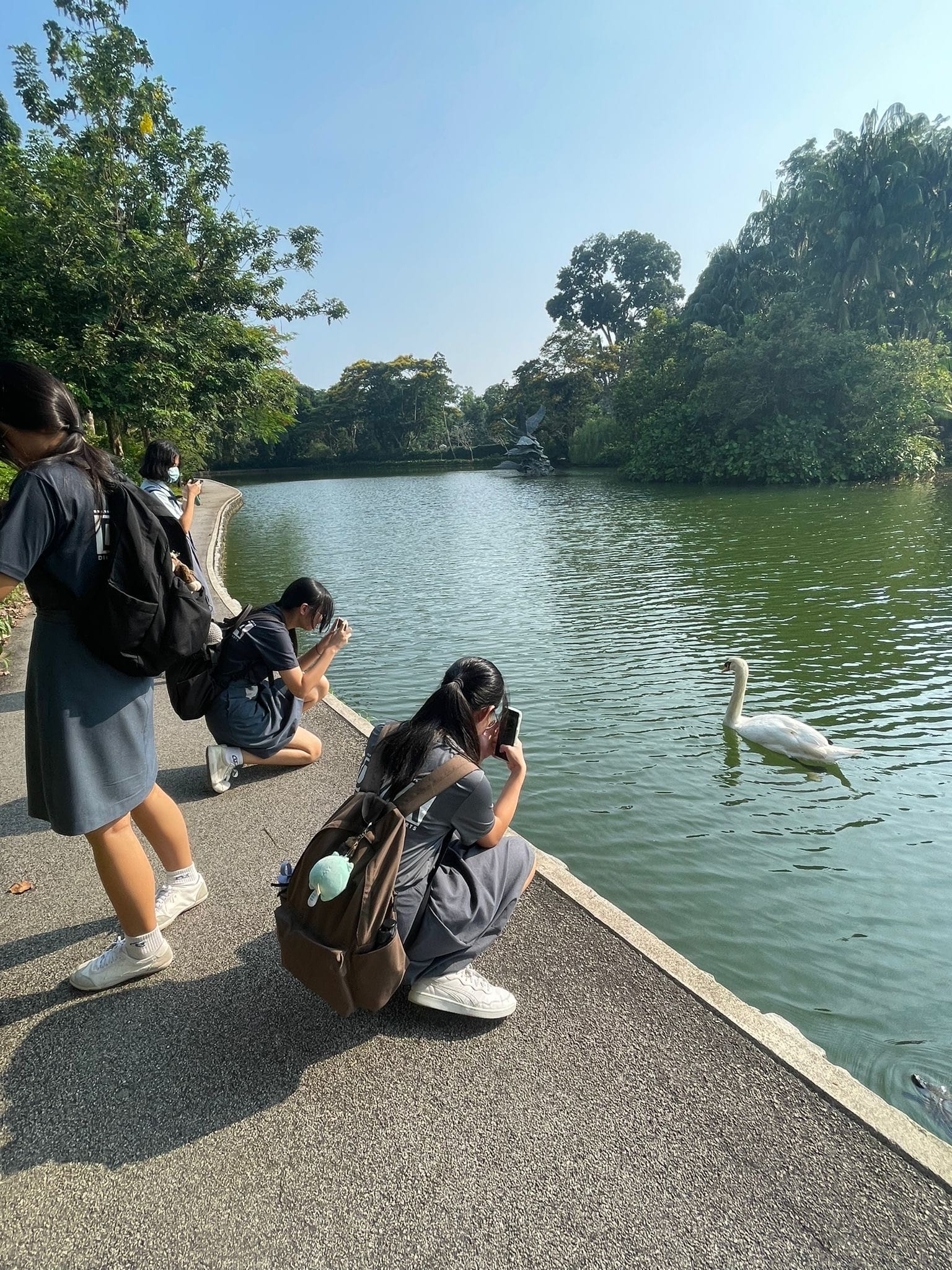 Three young women crouch and stand by a green lake photographing a white swan, surrounded by trees under a clear sky.