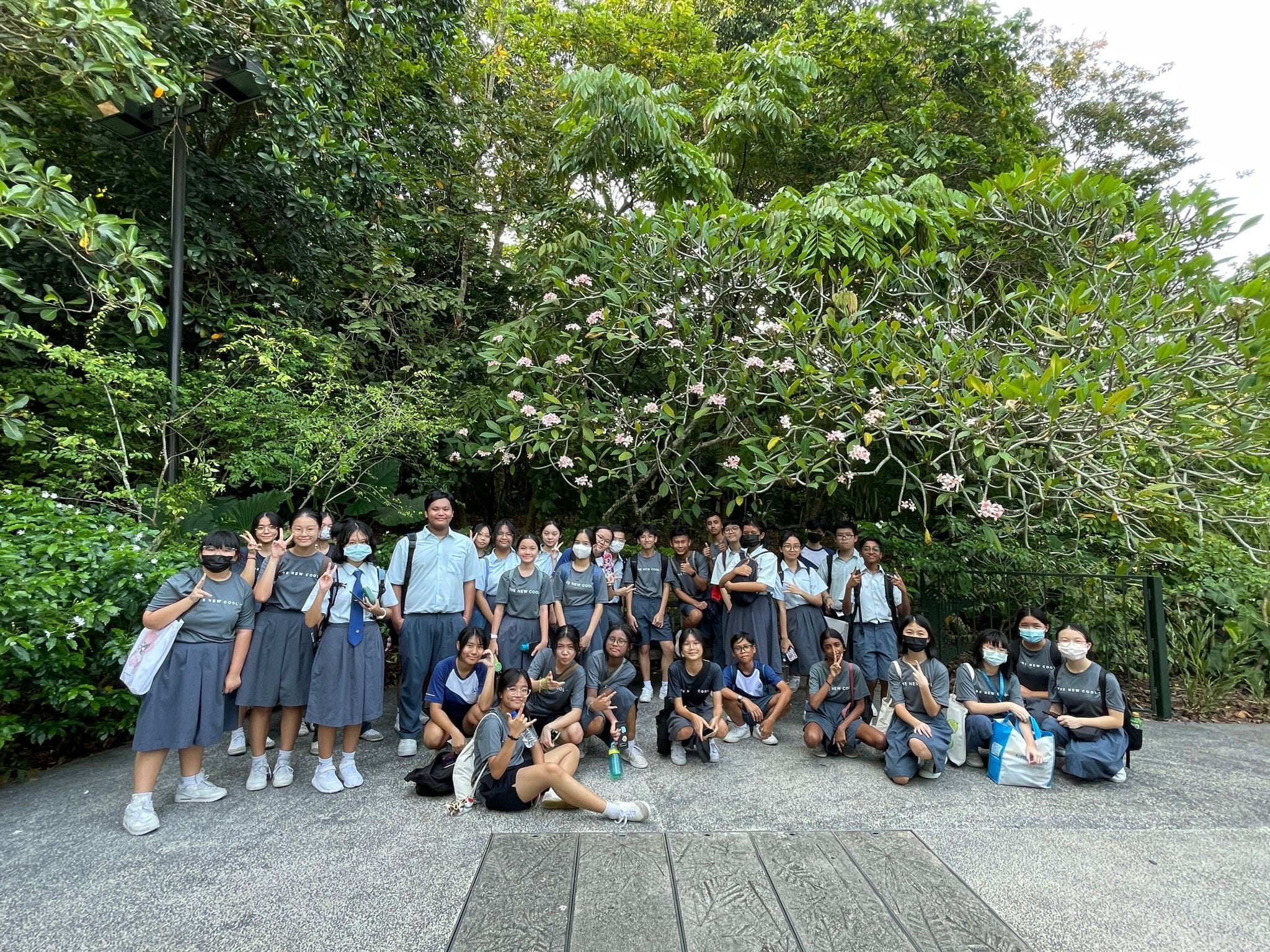 A large group of students in gray uniforms posing outdoors in front of lush green trees with pink flowers.