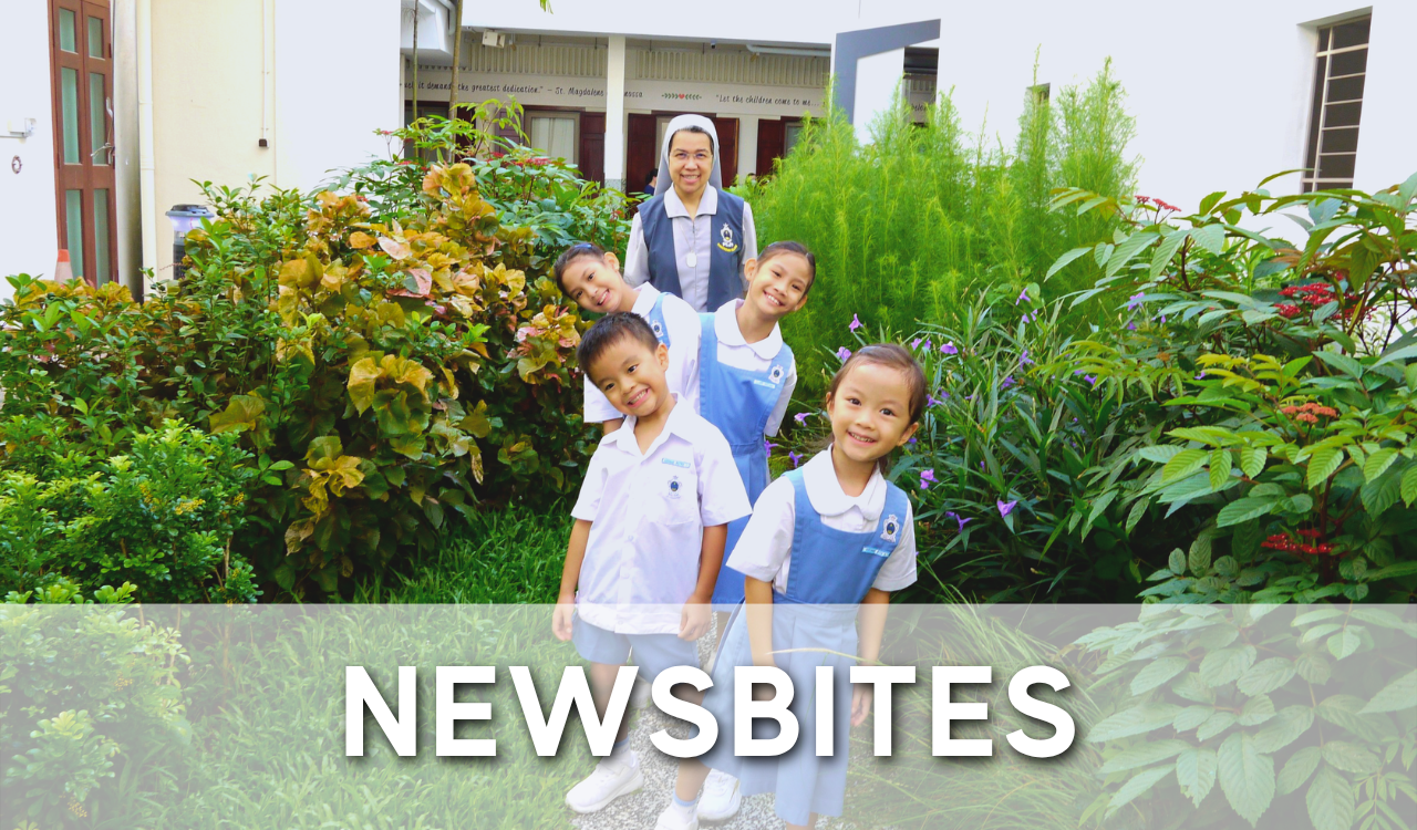 Newbites