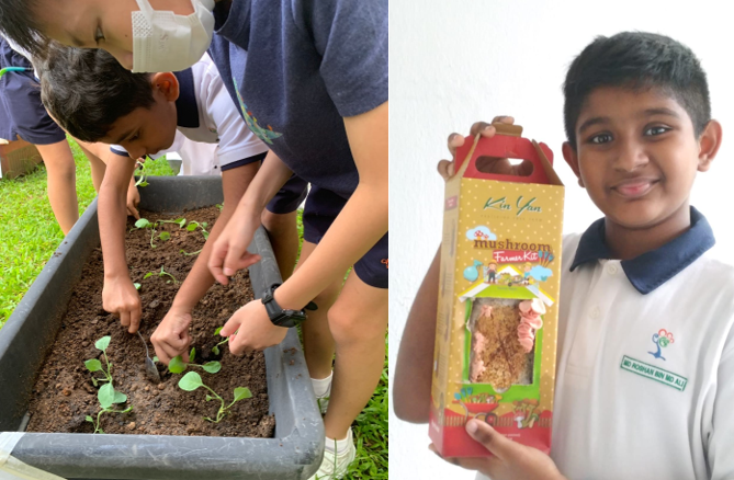 Two children tending seedlings in a planter box, and a boy holding a mushroom farmer kit box.