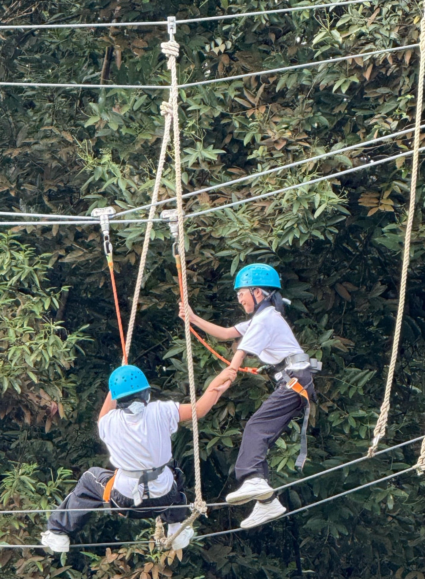 Two students in blue helmets and harnesses navigate a rope high ropes course above a forest canopy.