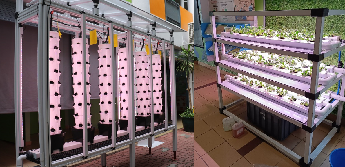 Two indoor hydroponic systems with pink LED grow lights, one with vertical towers and one with tiered shelves holding small plants.