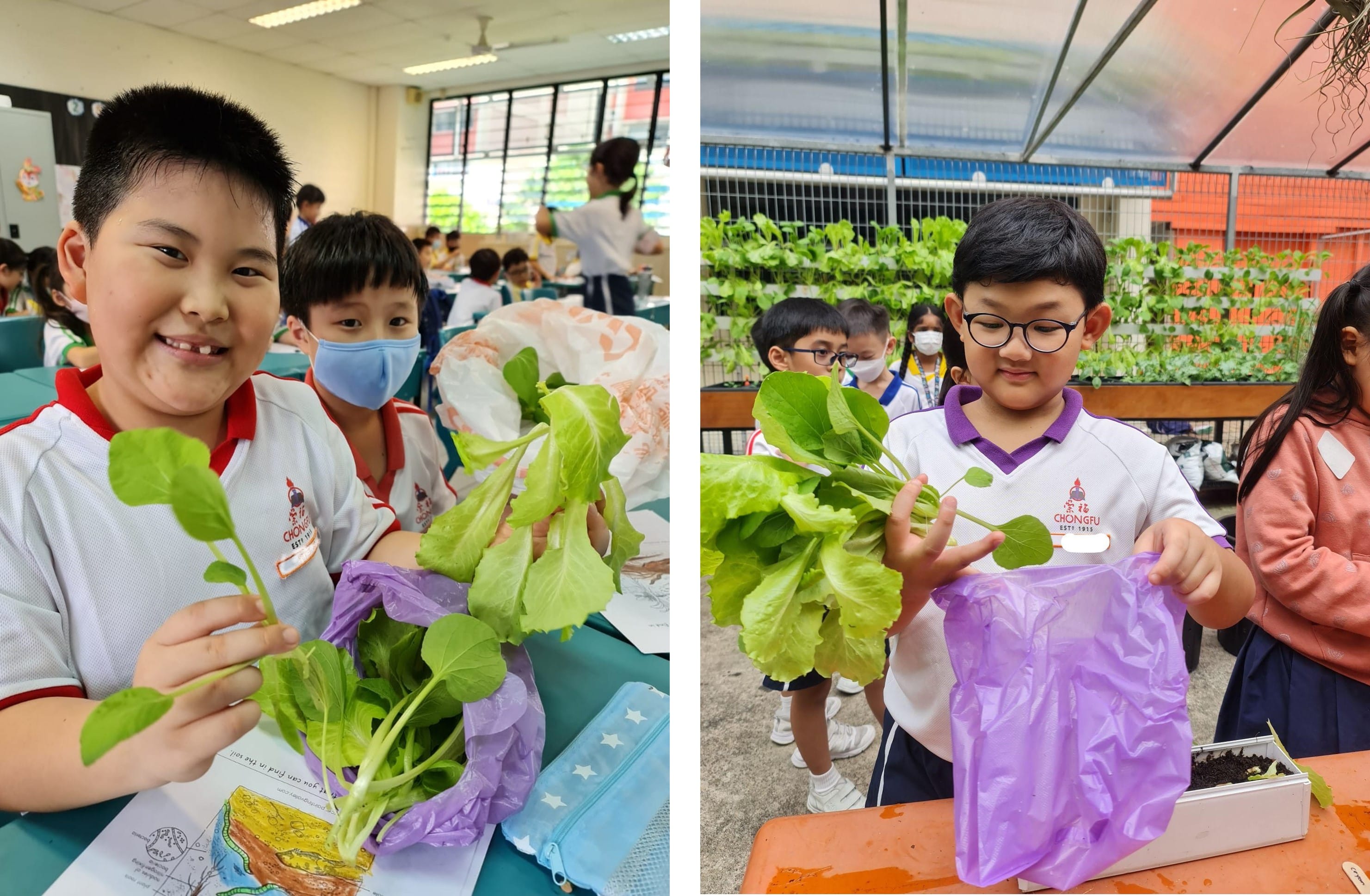 Two school children holding freshly harvested green leafy vegetables during an outdoor and indoor gardening activity.