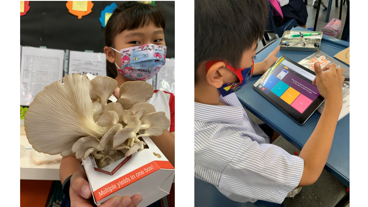 Two masked children in a classroom: one holds a mushroom grow kit, another uses a colorful tablet.