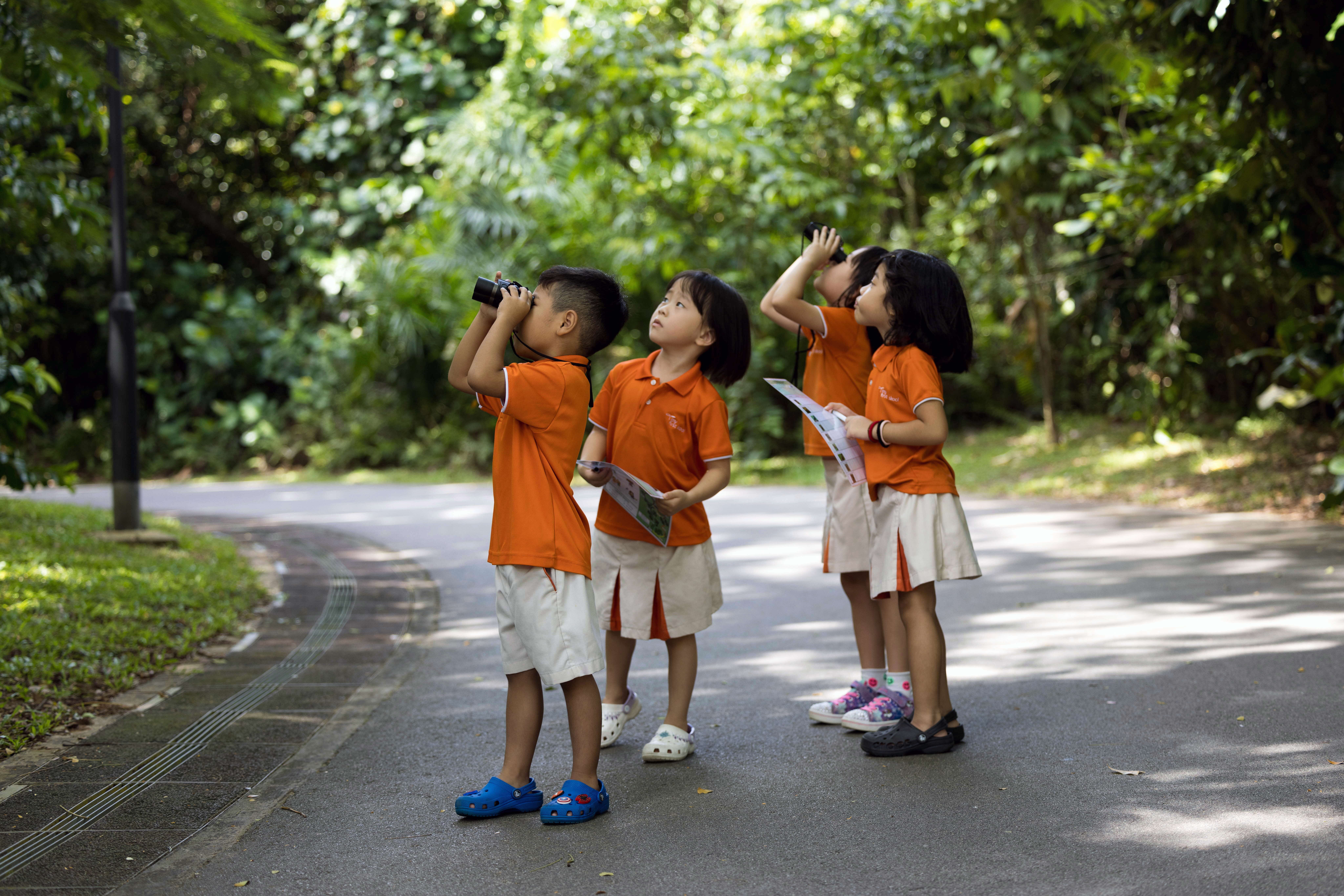 Children exploring nature