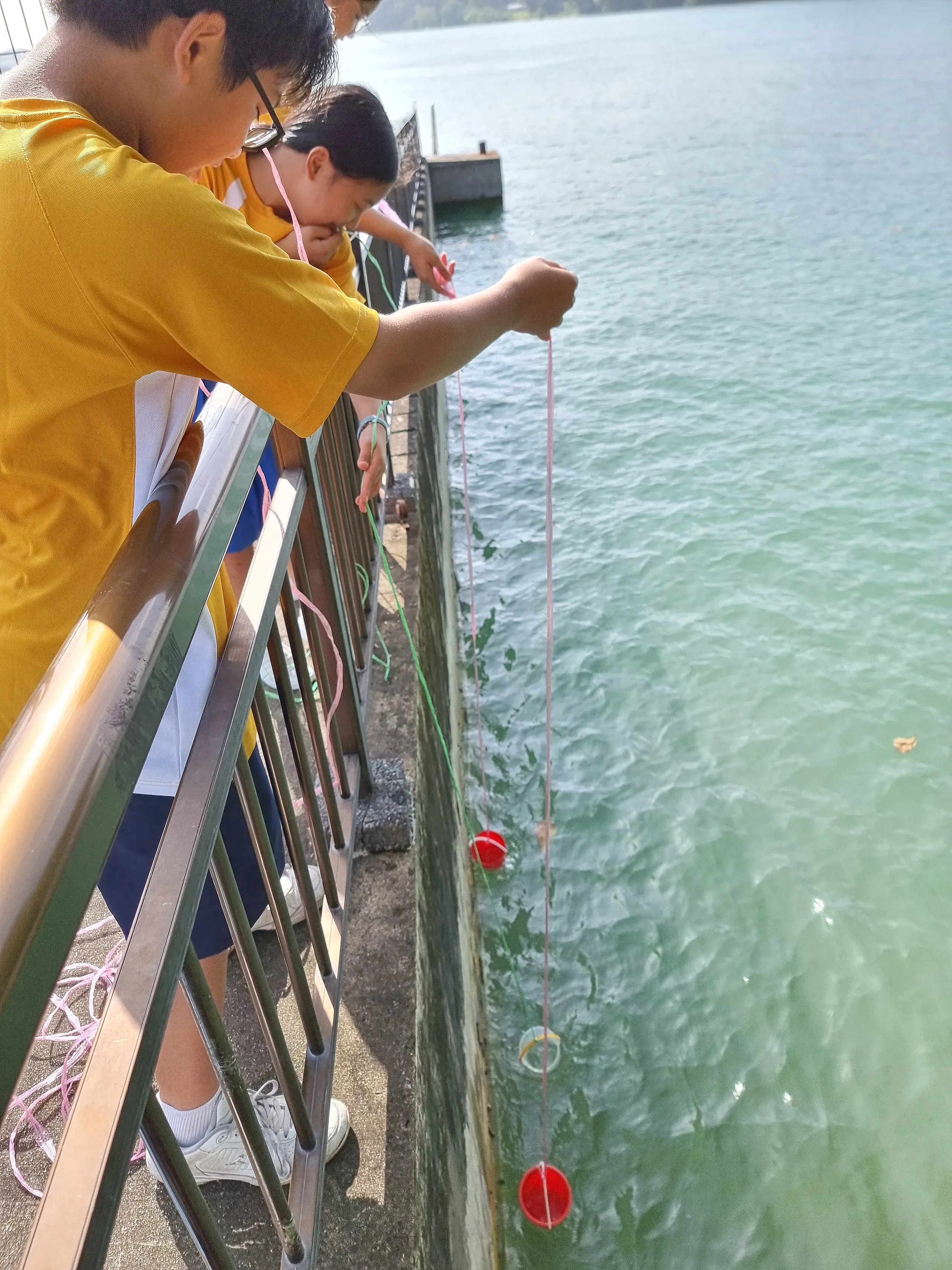 Lower secondary students wearing yellow and white school PE shirts leaning over a waterfront railing during an experiential learning activity. They are lowering red plastic cups attached to long strings into the green coastal waters to collect water samples or test equipment.