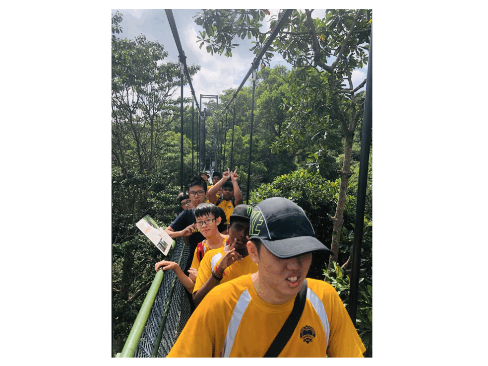 A group of people in yellow shirts walking along a suspended metal bridge surrounded by green trees.