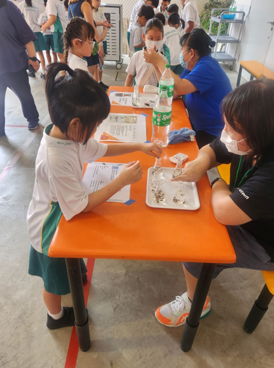 STEM 1