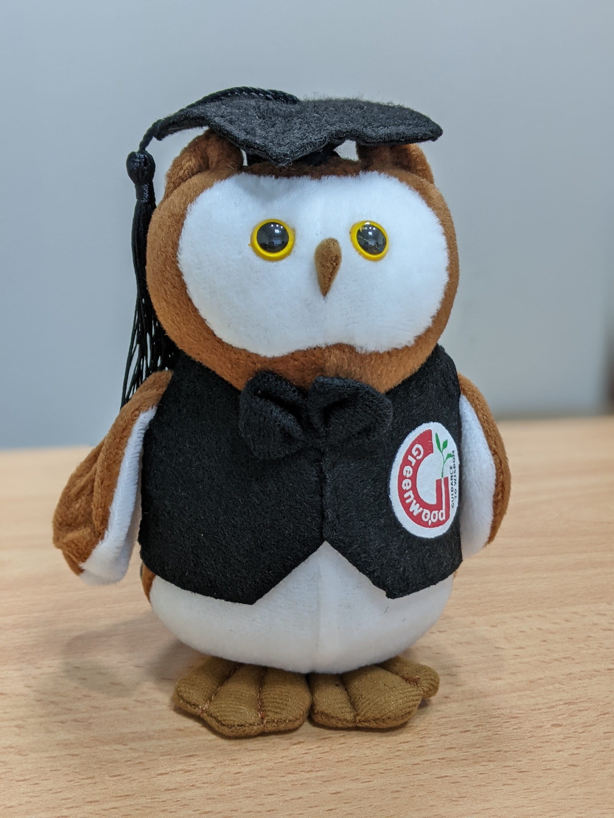 Brown and white stuffed owl wearing a graduation cap and black vest with a Greenwood patch, sitting on a wooden surface.