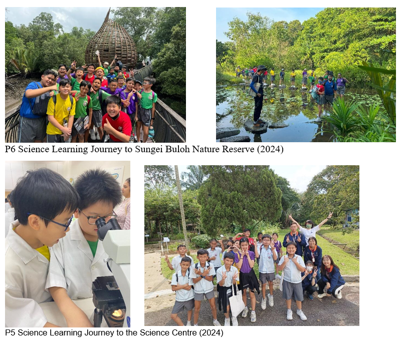 Students on science learning journeys at Sungei Buloh Nature Reserve and Science Centre in 2024.