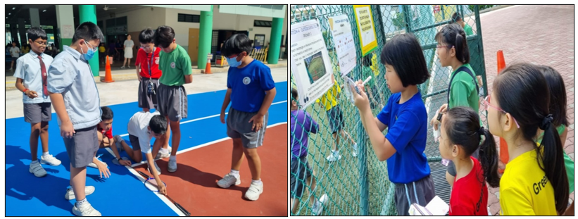 Students outdoors: left group examines a blue court surface, right group reads posters on a chain-link fence.