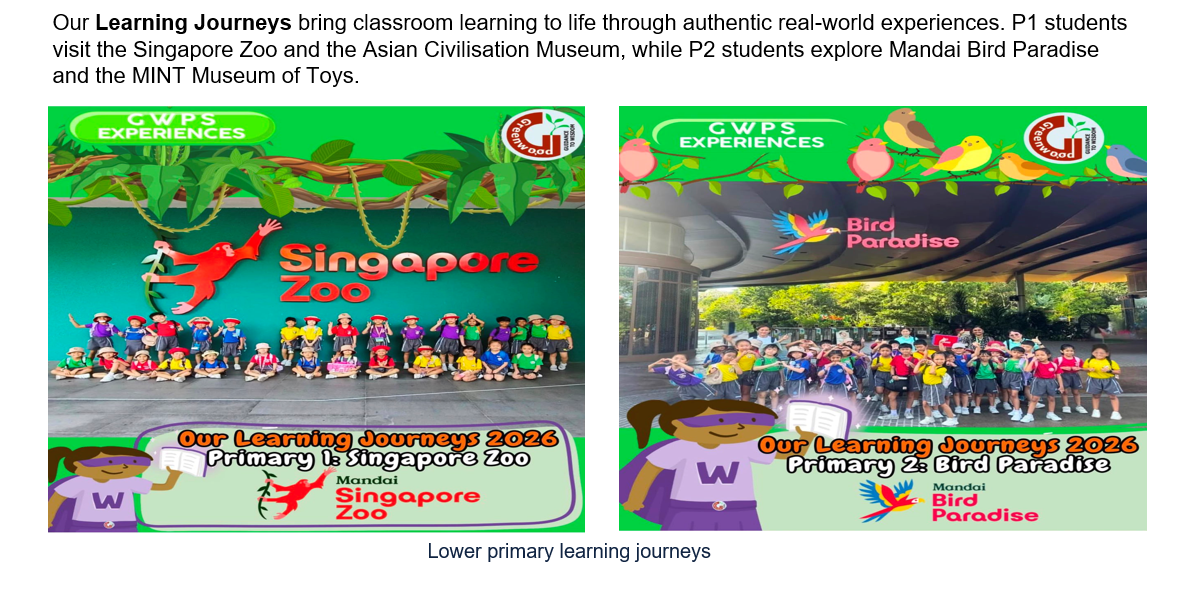Primary students 