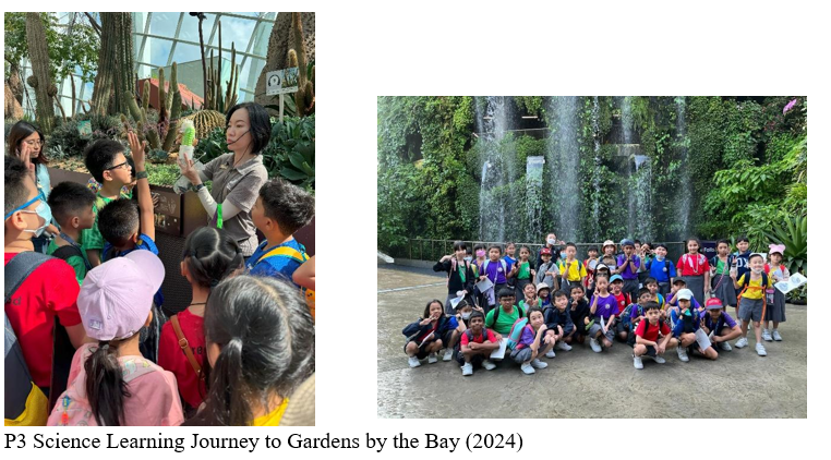 Students on a school trip at Gardens by the Bay, listening to a guide near cacti and posing by a waterfall.