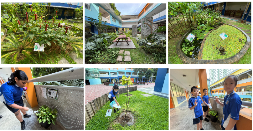 Six photos showing school children in blue uniforms tending to plants and gardens on a school campus.