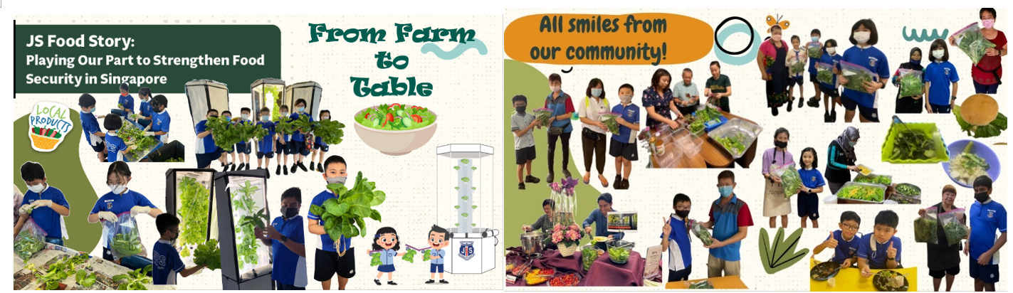 School students in blue uniforms grow and harvest vegetables in a farm-to-table food security program in Singapore.