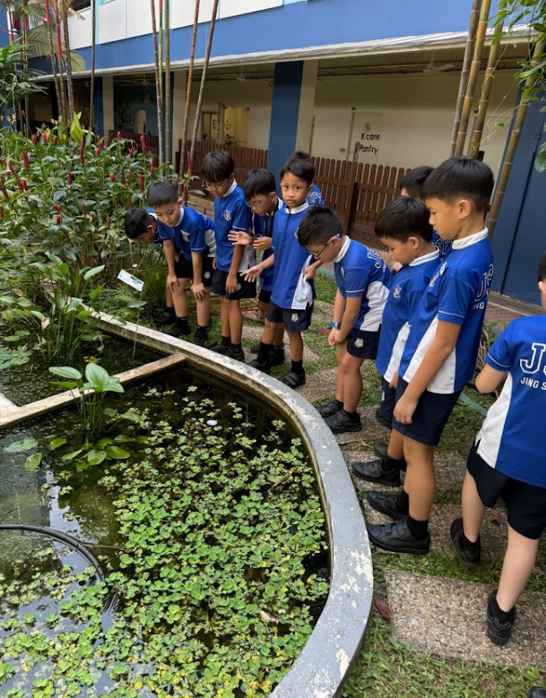 Students looking over a pond