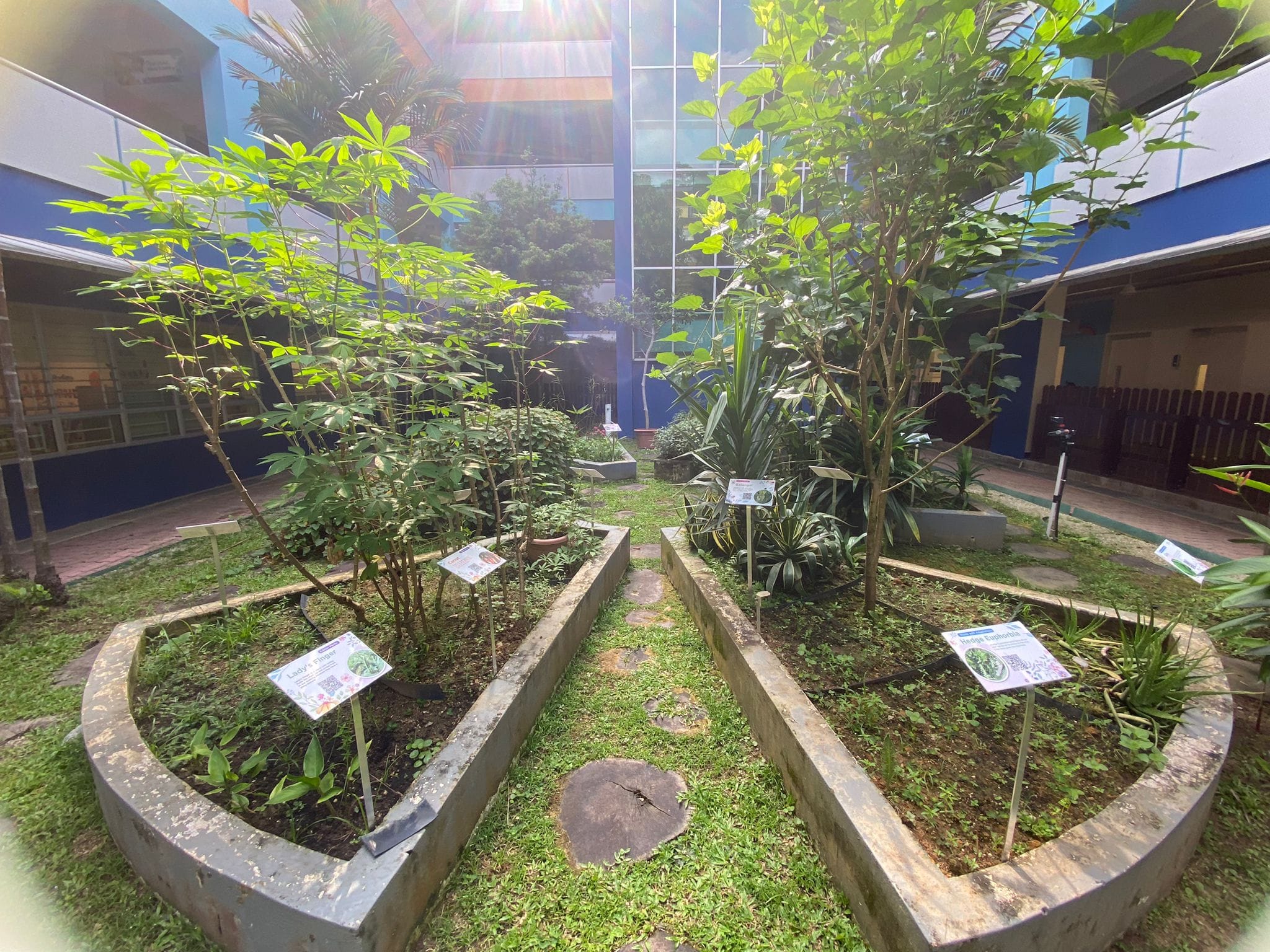 Jing Shan Primary Eco Garden