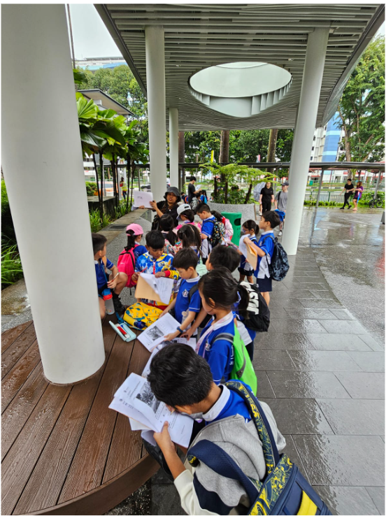 A group of young students in blue uniforms reading worksheets under a covered outdoor structure on a rainy day.