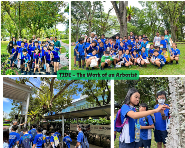 Students in blue uniforms pose and explore outdoors during a TIDE arborist learning activity in a park.