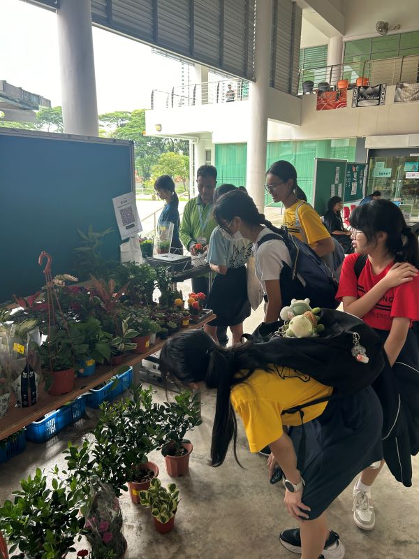 Students browse a table filled with potted plants at an indoor school fair or market event.