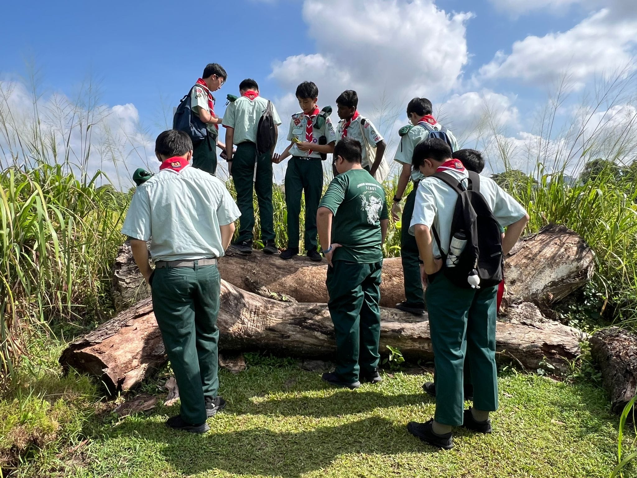 A group of scouts in green uniforms and red neckerchiefs gather around a large fallen log outdoors.
