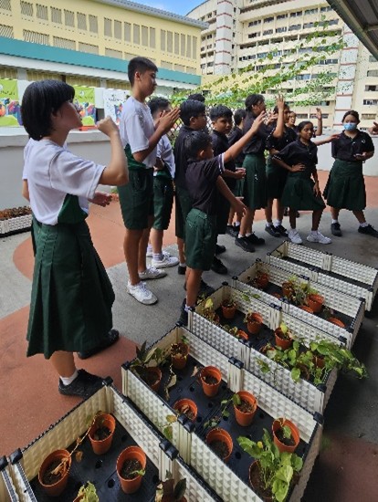 An outdoor environmental sustainability project or campus agriculture session managed by Class Leaders, highlighting team briefings and practical green initiatives.