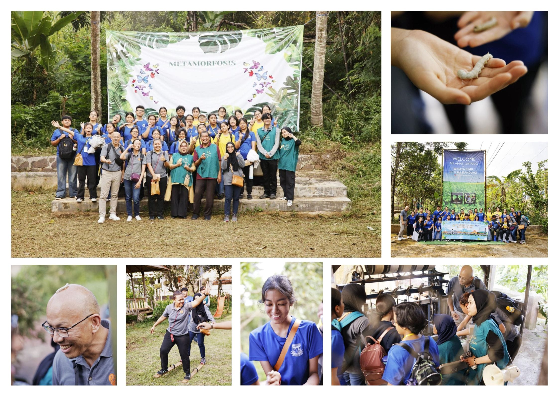 Collage of a group outdoor event called Metamorfosis, showing group photos, a caterpillar on a hand, and indoor activities.