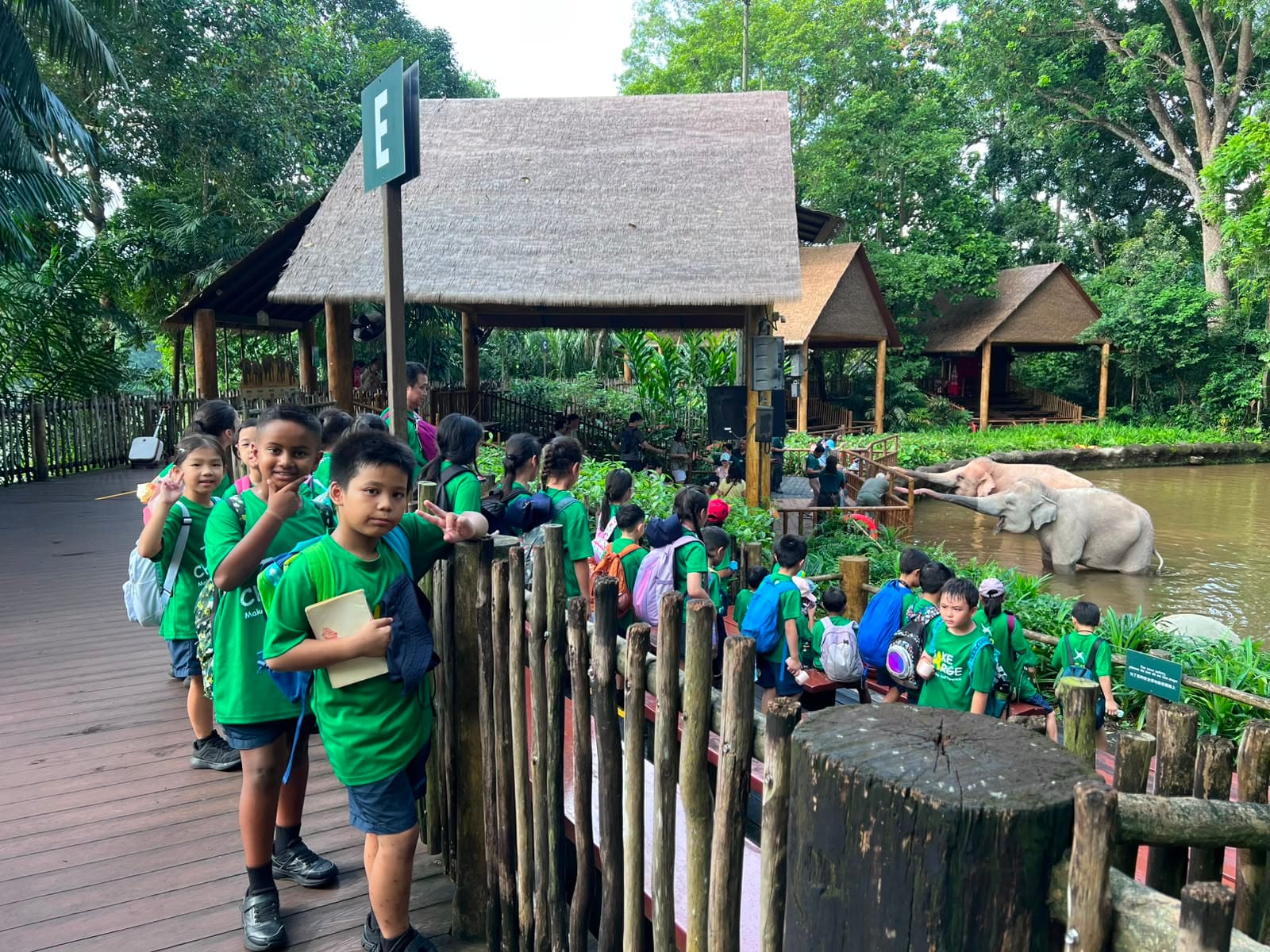 Students in green T-shirts standing along a wooden fence, watching an elephant in a water enclosure at the zoo.