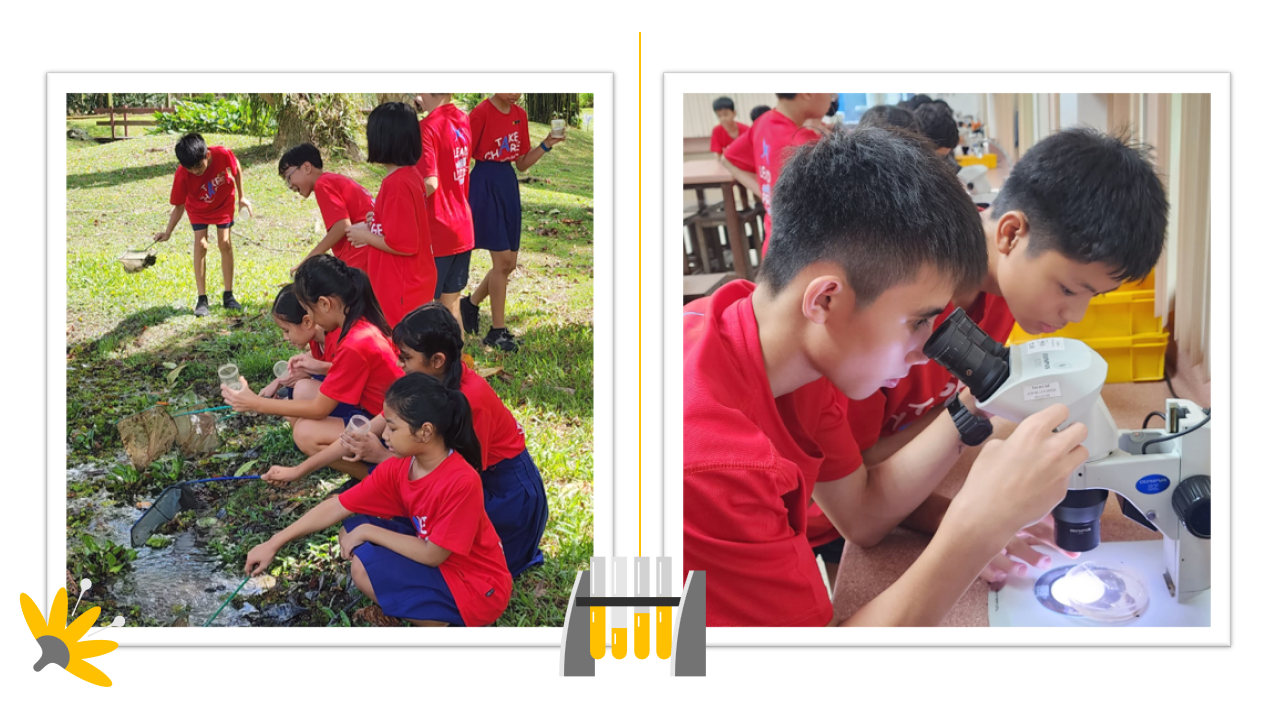 Children in red shirts collect samples by a stream outdoors, and two boys examine specimens under a microscope indoors.