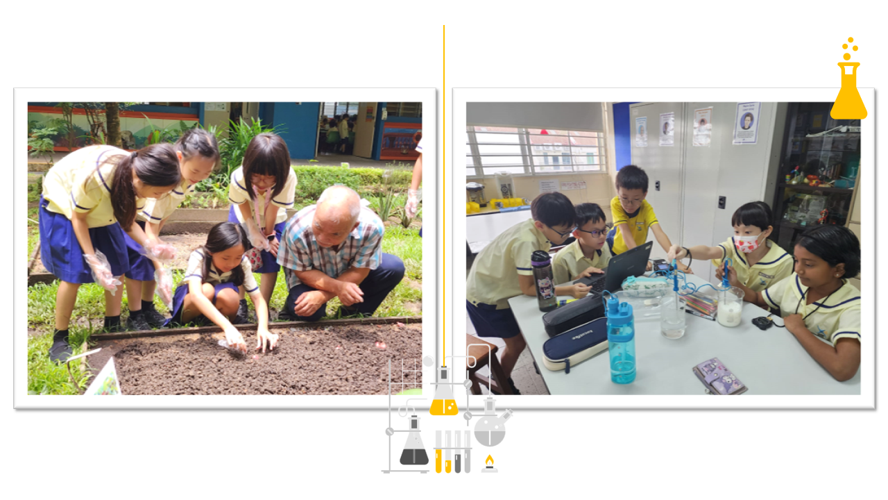 Two school photos: children planting in soil with an adult outdoors, and students doing a science experiment indoors.