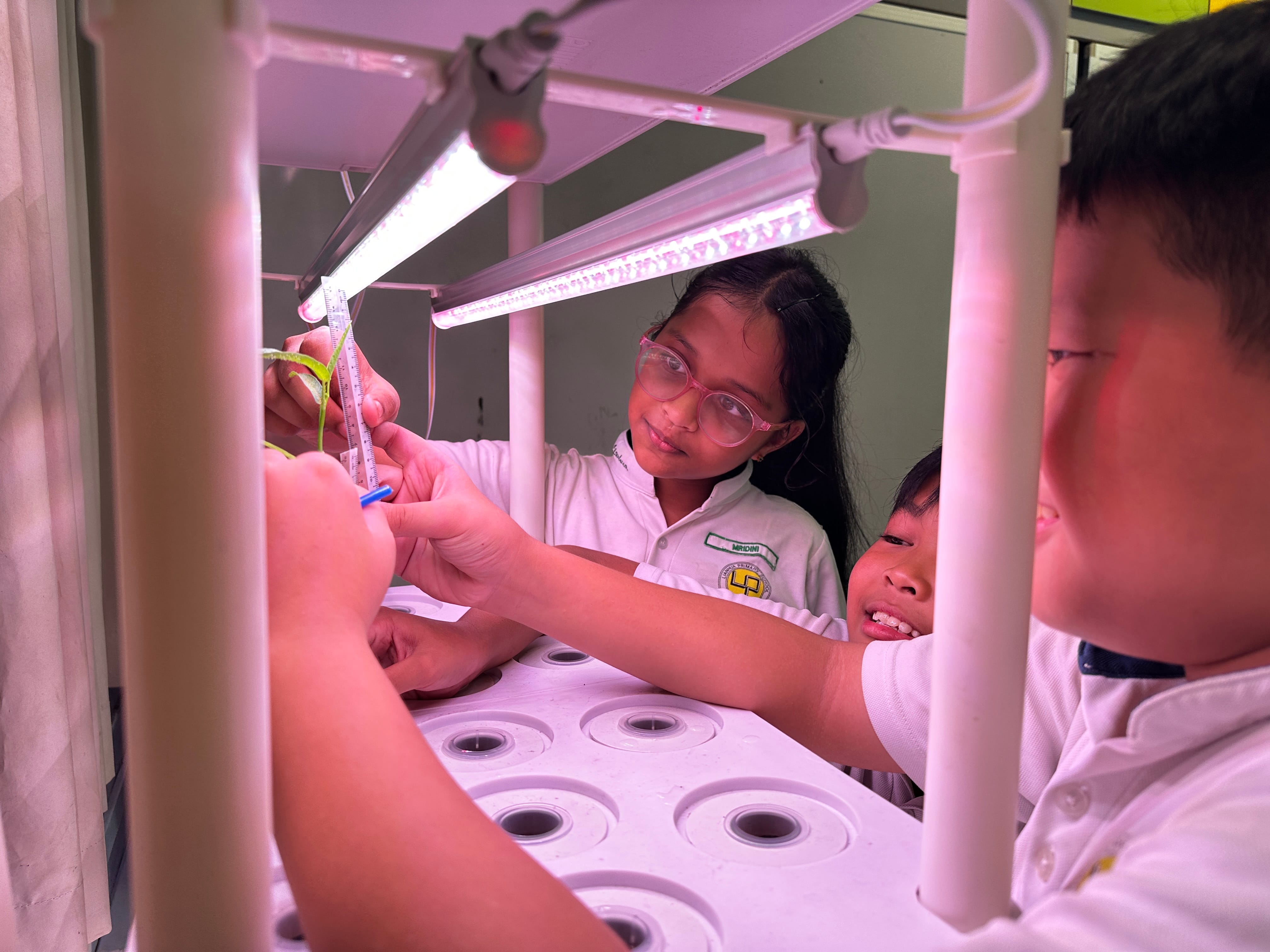 P4 – Indoor Hydroponics