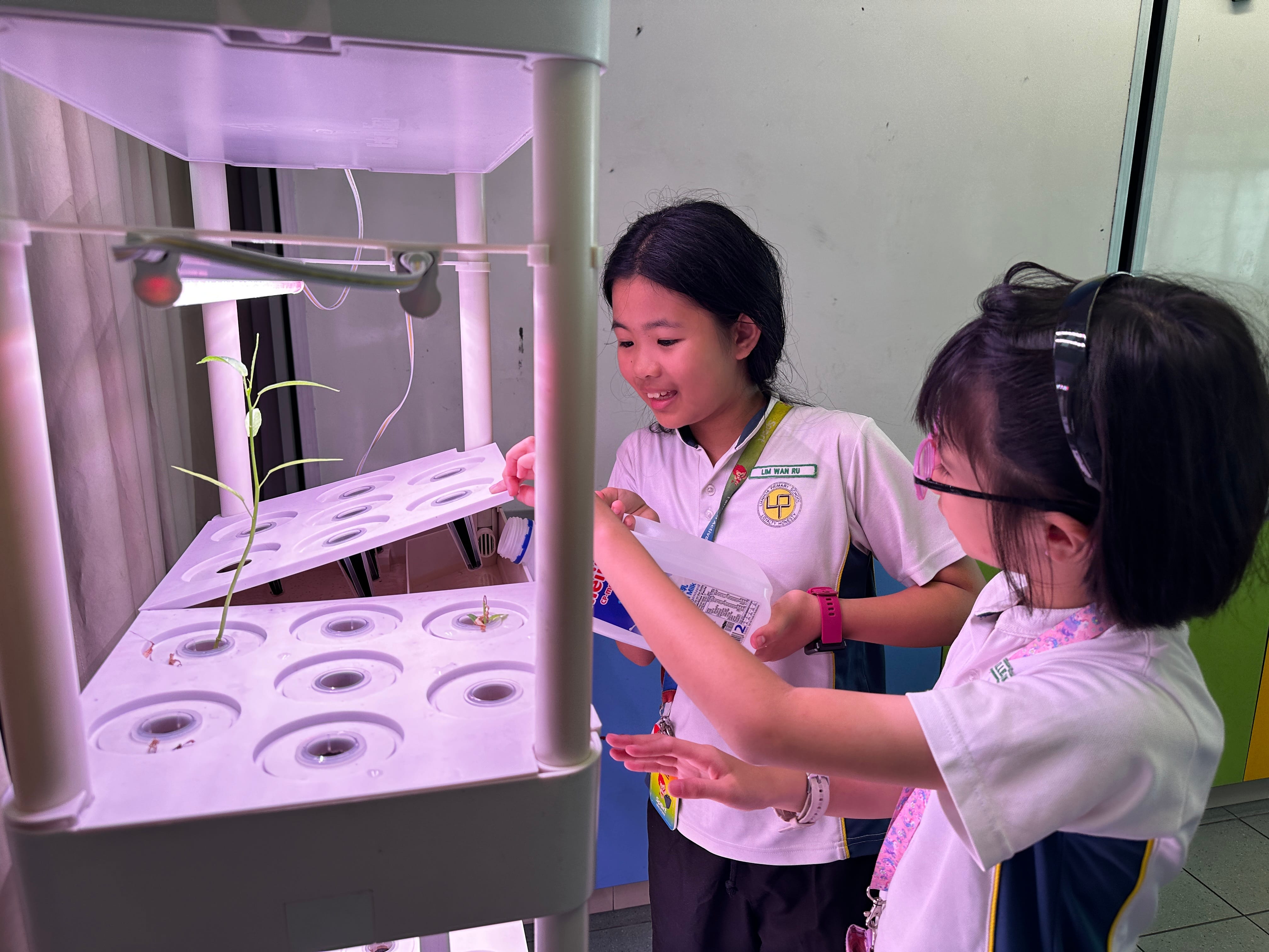 P4 – Indoor Hydroponics