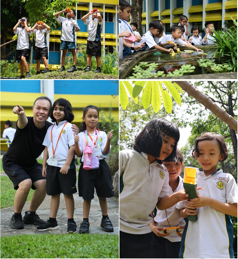Four scenes of young students in school uniforms exploring outdoors, using binoculars, examining a pond, and holding a device.