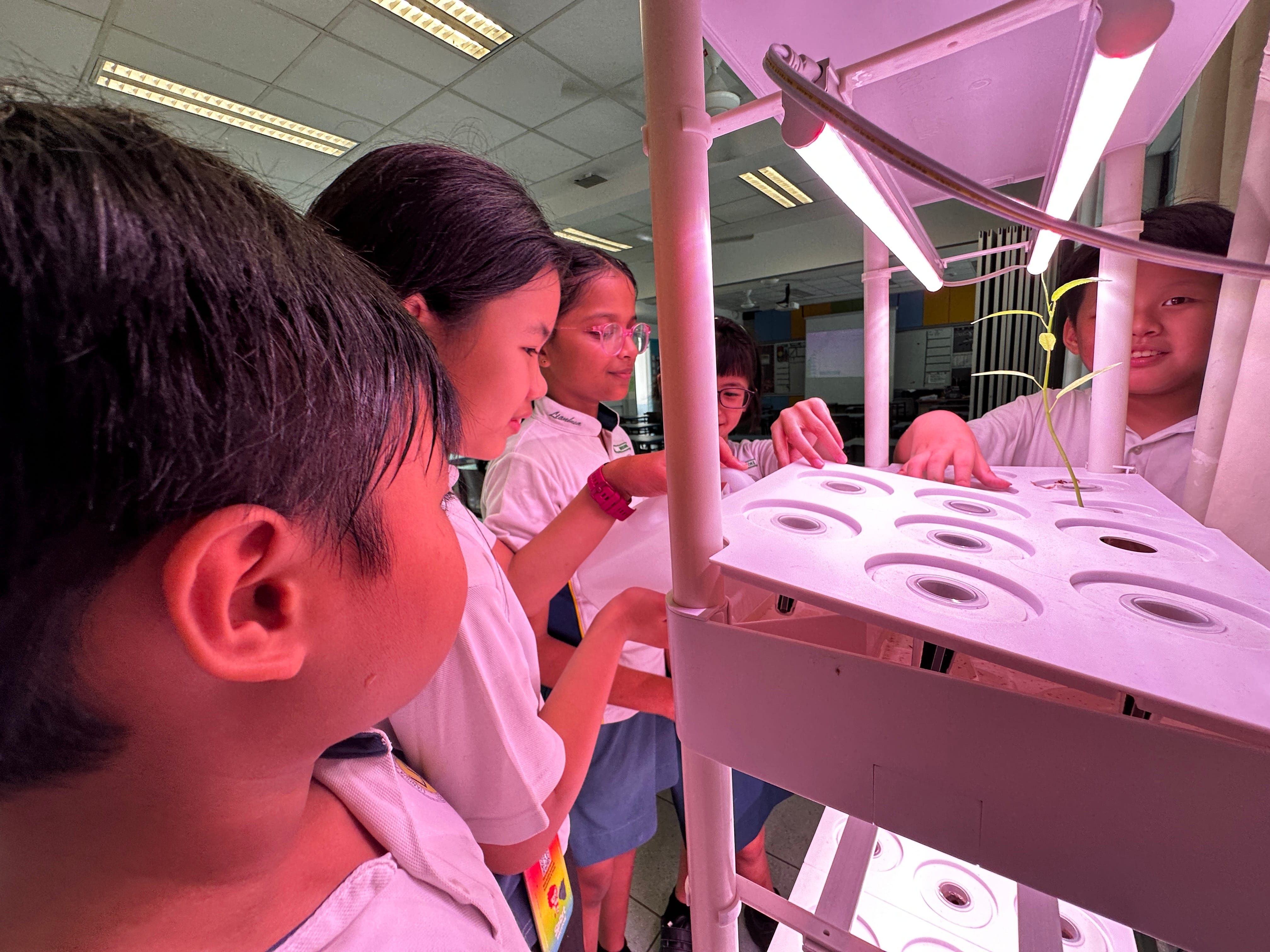 P4 – Indoor Hydroponics